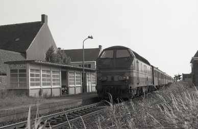 Veldegem - 6318 - RM-625-19803.jpg